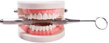 Best Dentist in Dwarka, Delhi
